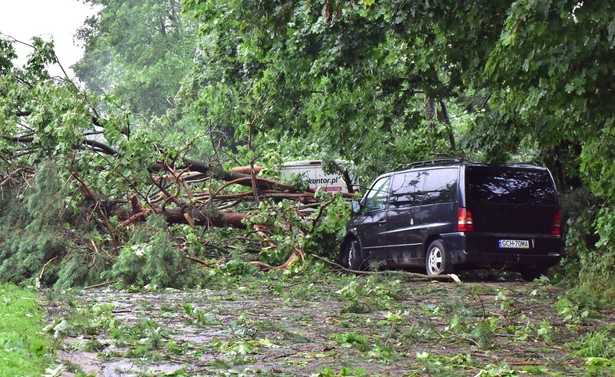 IMGW i RCB sprawdzą procedury alarmowania o wichurach