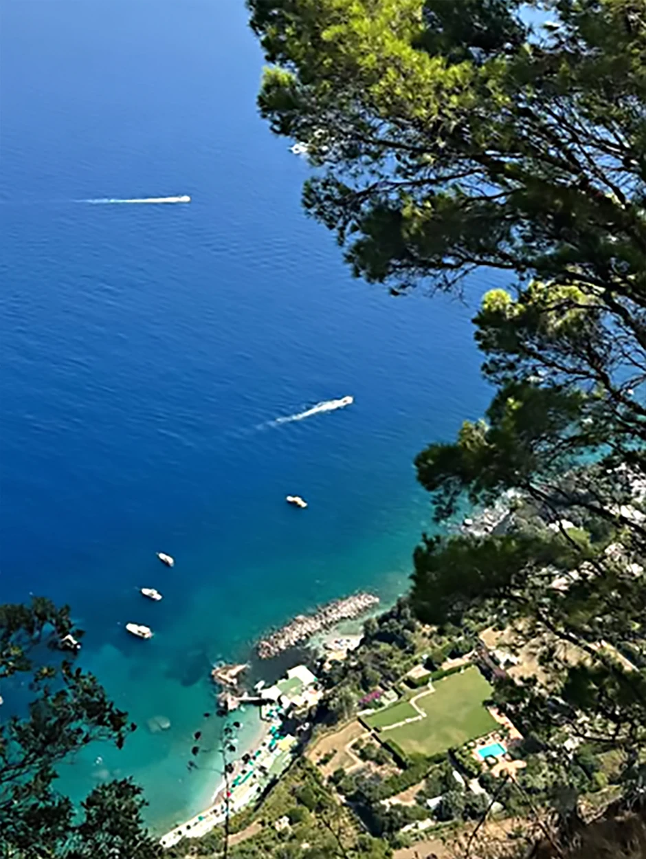 Jelisaveta Orašanin