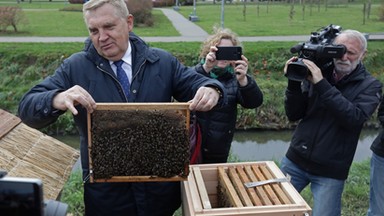 Białystok: powstała pierwsza miejska pasieka