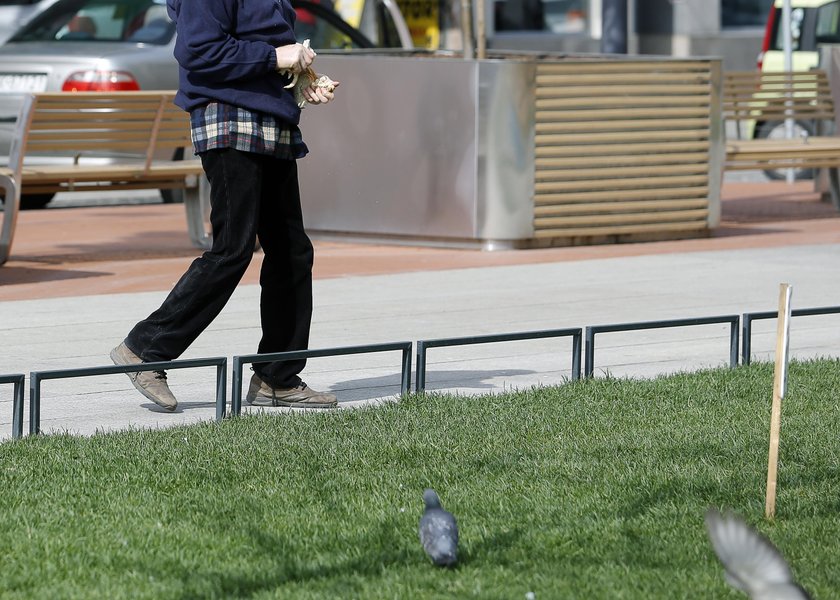 Katowice. Plaga gołębi na rynku