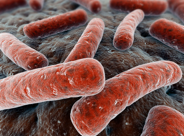 Bakterie E.coli, gronkowiec i paciorkowce kałowe. Nasi towarzysze podczas kapieli na basenie