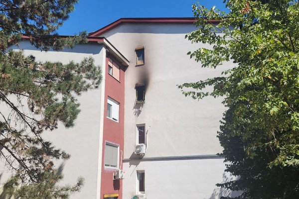 Marinkova bara i Konjarnik