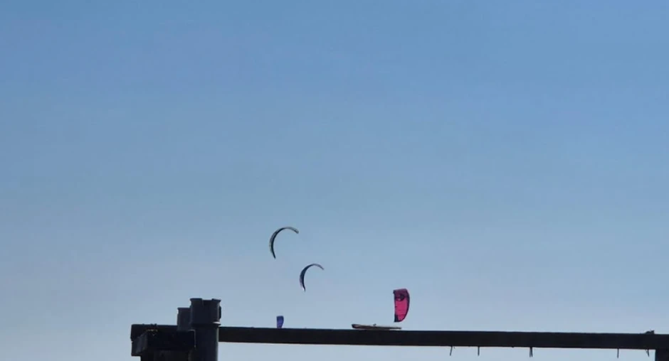 Vojin Ćetković