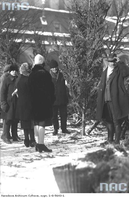 Sprzedaż choinek i gałązek w okresie przedświątecznym na Rynku Głównym w Krakowie, 1926