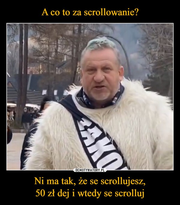 miś z krupówek