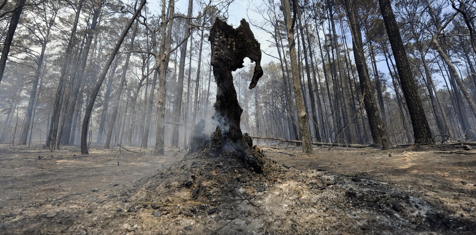 USA TEXAS WILDFIRES