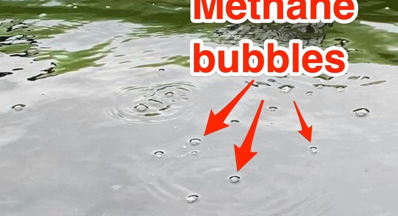 Themokarst lakes found in Alaska are so full of methane, the gas rises to the surface in big bubbles.