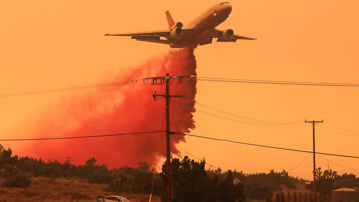 Wysokie temperatury i susza wywołane kryzysem klimatycznym wywołują pożary, które niszczą winnice w kalifornijskich dolinach Napa i Sonoma. W tym roku przemysł winny w USA stanie na krawędzi katastrofy.