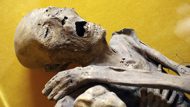 Mumie mogą być kopalniami cennych informacji nie tylko na temat ludzkiej historii, ale także na temat ewolucji chorób