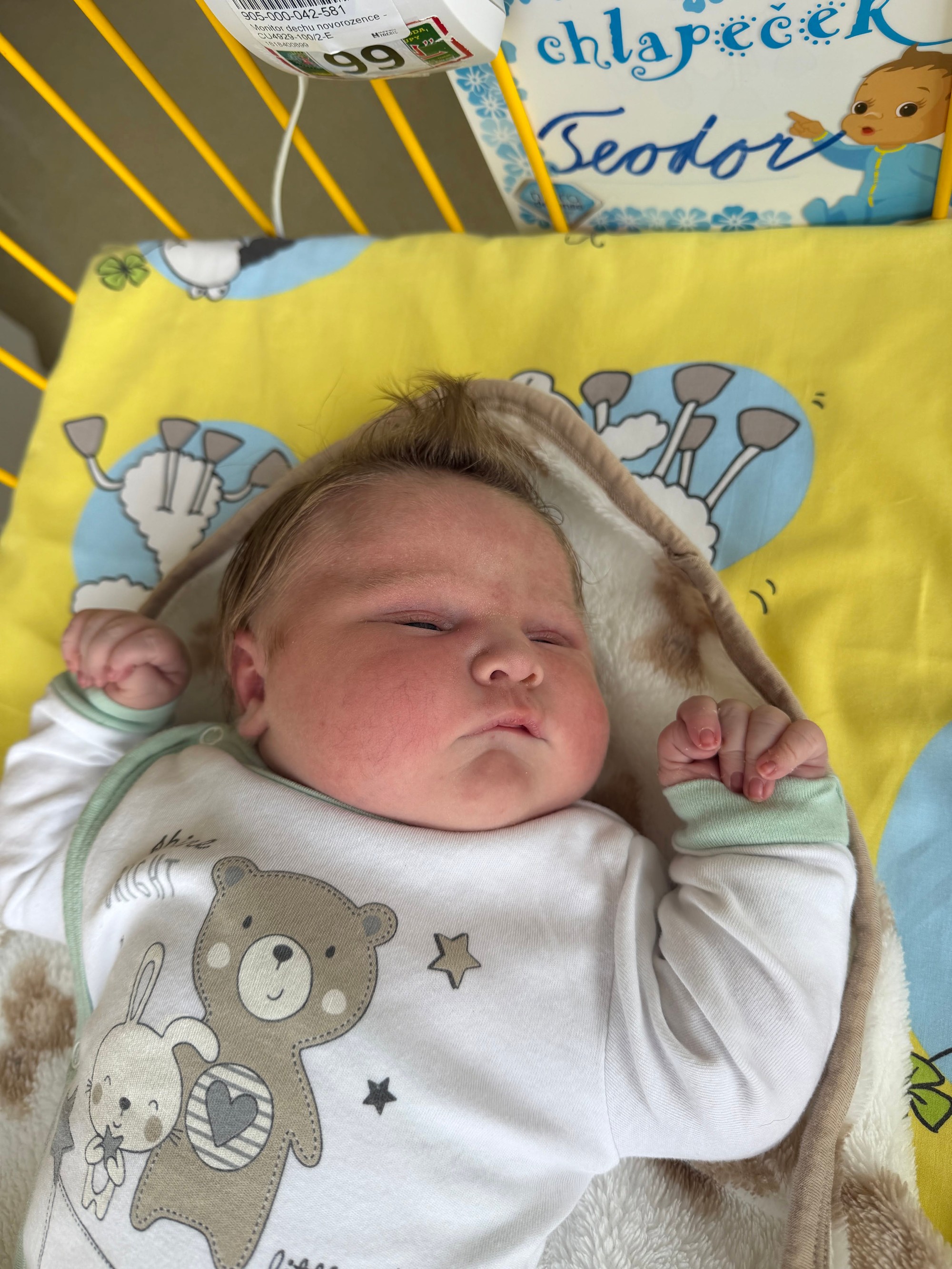 Teodor je naozajstný obor.