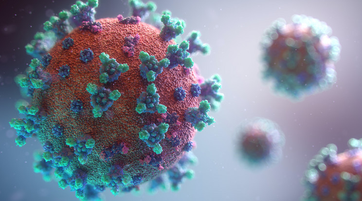 A tudósok szerint ezzel áttörést értek el a koronavírussal szemben / Illusztráció: pexels.com