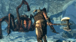 Kadr z gry "The Elder Scrolls V: Skyrim"