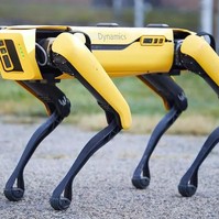 Esztergomi robbantás: ilyen robotkutyával elkerülhető lett volna a tragédia