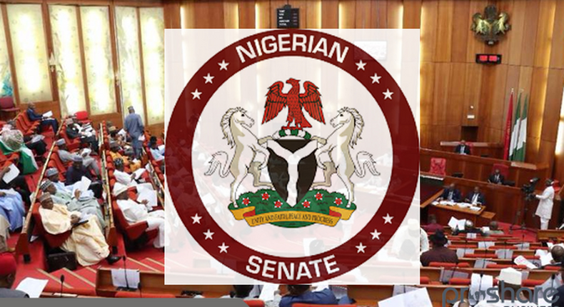 Senate (DailyNigerian)