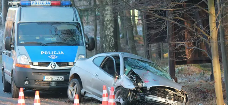 Wypadki z udziałem dzikich zwierząt - Zwierzę na drodze? Nie warto omijać!