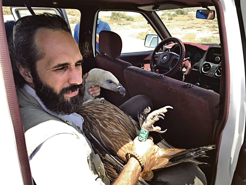 Iračka televizija prenosila je let beloglavog supa nakon što je oslobođen od krivolovaca