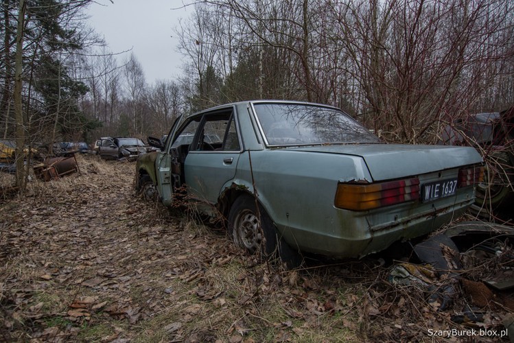 Cmentarzysko samochodów pod Warszawą