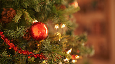 Ezeknél a magyar celebeknél már teljes pompájában díszeleg a karácsonyfa: mutatjuk, ki milyen dekort választott – fotók 