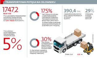 Kaucją w przewoźnika. Służby wykorzystują sankcje do szantażu firm