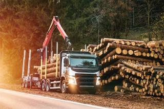 Zniszczone drogi lokalne przez wycinkę drzew. Kto zapłaci gminom? Ważna odpowiedź rządu