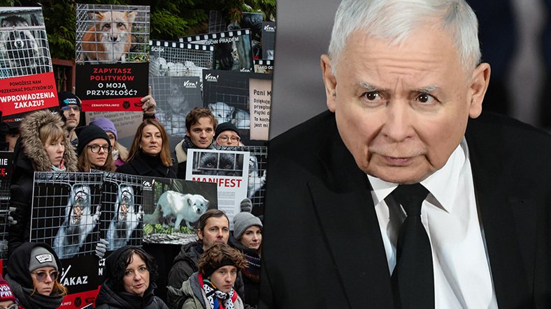 Protest przed domem Kaczyńskiego. "Zróbmy coś z tym wreszcie"