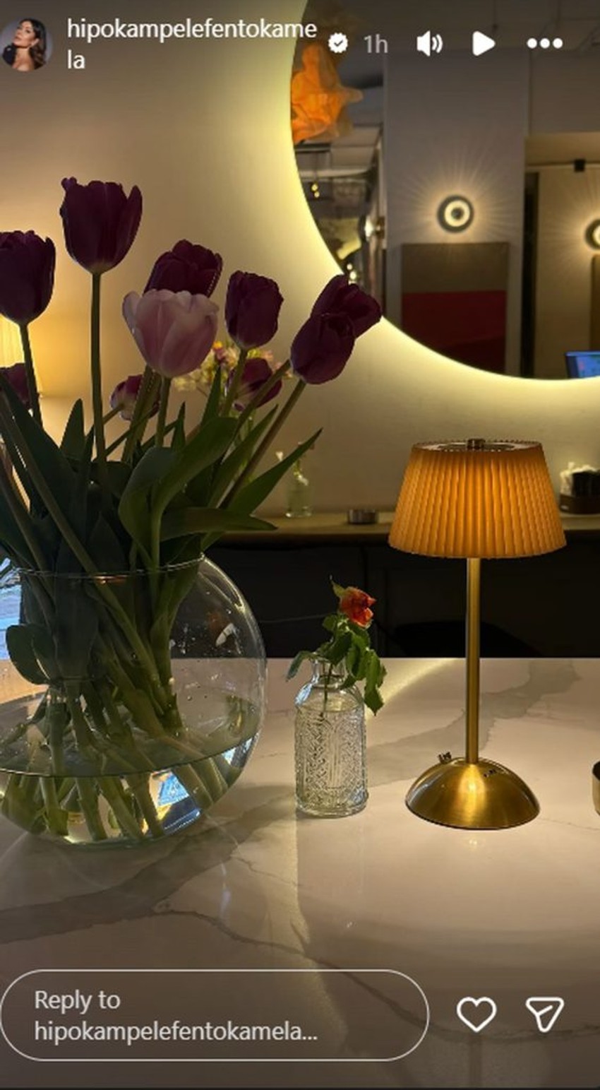 Stan Dragane Mićalović