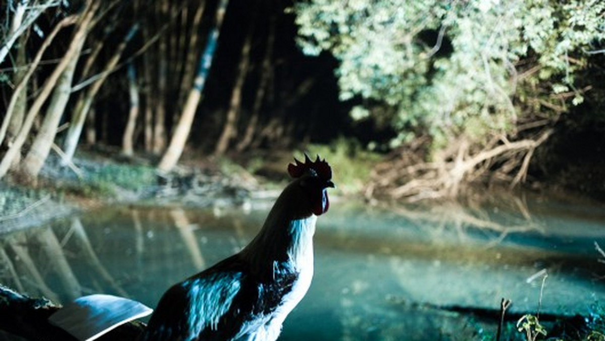 "Sztuka znikania" Bartka Konopki i Piotra Rosołowskiego to quasi-dokumentalna podróż do komunistycznej Polski lat 80. ocenianej oczyma haitańskiego kapłana vodou.