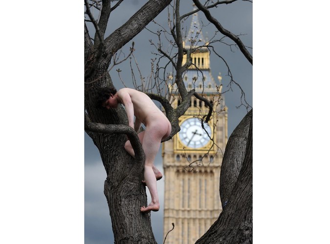 Protest w obronie miejsc pracy Londynie. Golas wdrapał się na drzewo