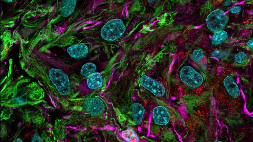 Istraživanje ilustracija