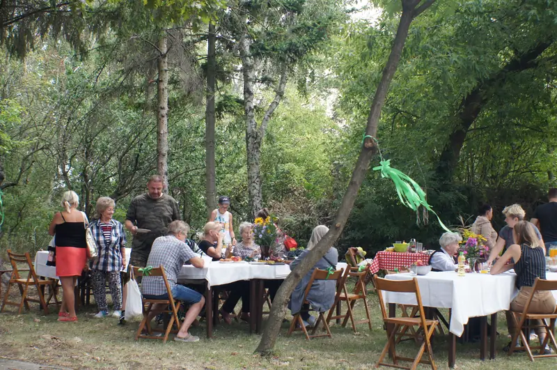 ROD Wola, Festiwal Otwartych Działek