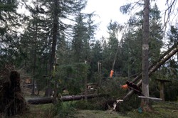 Halny pustoszył Podhale. Tusk zadeklarował pomoc