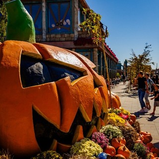 park rozrywki, energylandia