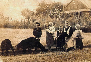 Polska rodzina Ulmów ratowała Żydów. Niemcy rozstrzelali wszystkich nad ranem, 24 marca [WIDEO]