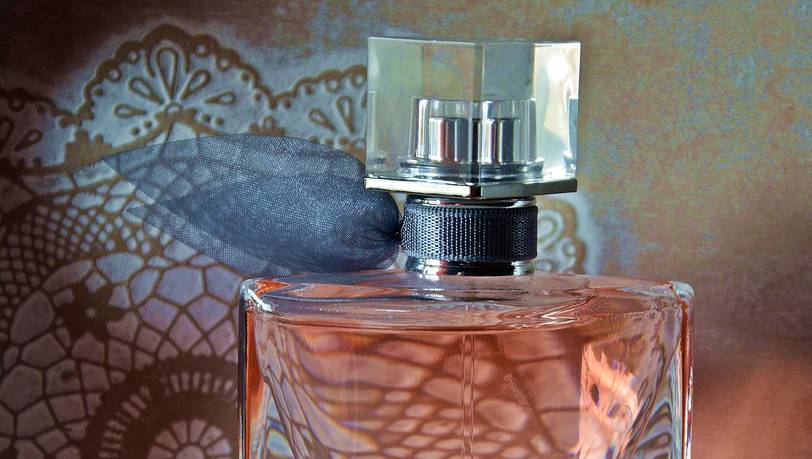 Edler Duft für Damen ab 50 Euro: Eau de Toilette im Vergleich