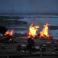 Tarol az indiai mutáns: hálóval fogják ki a Gangeszból a járvány áldozatait