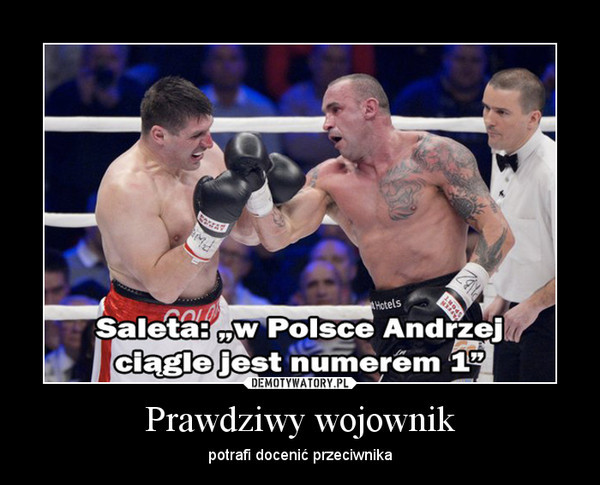 Andrzej Gołota - memy