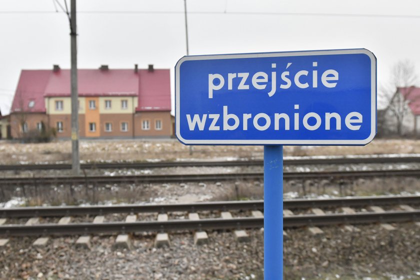 Przejechał po nim pociąg i żyje