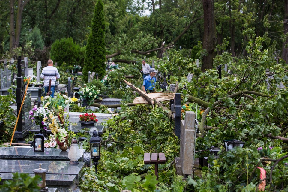 Zniszczenia po nawałnicy na cmentarzu św. Piotra i Pawła w Gnieźnie