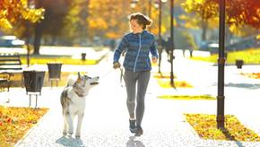 Beliebte Laufhosen für Damen im Vergleich