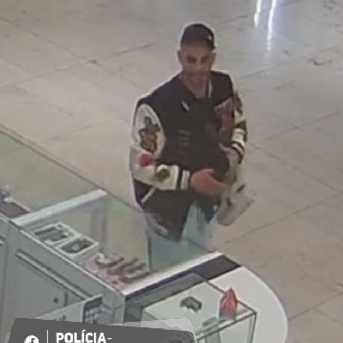 Polícia pátra po zlodejovi.