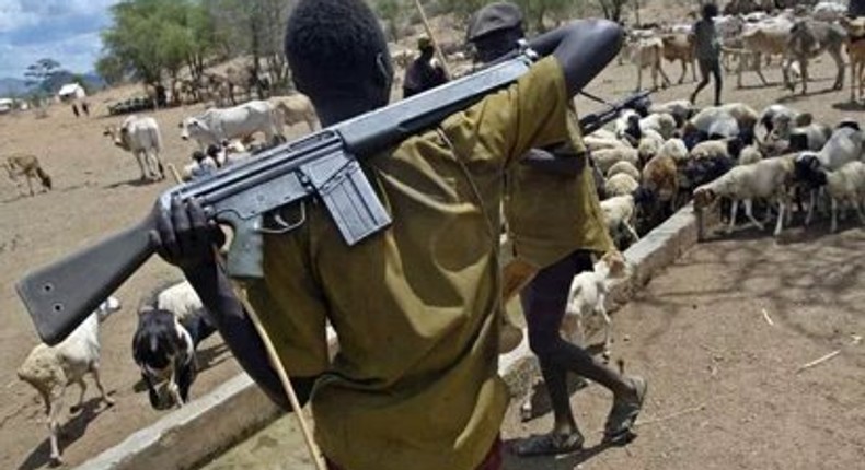 Armed Fulani herdsmen 