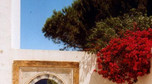 Galeria Tunezja - Sidi Bou Said, obrazek 4