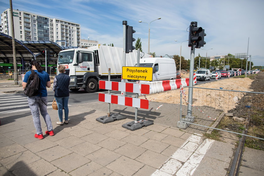 Usuną sto drzew, bo przesadzanie jest za drogie