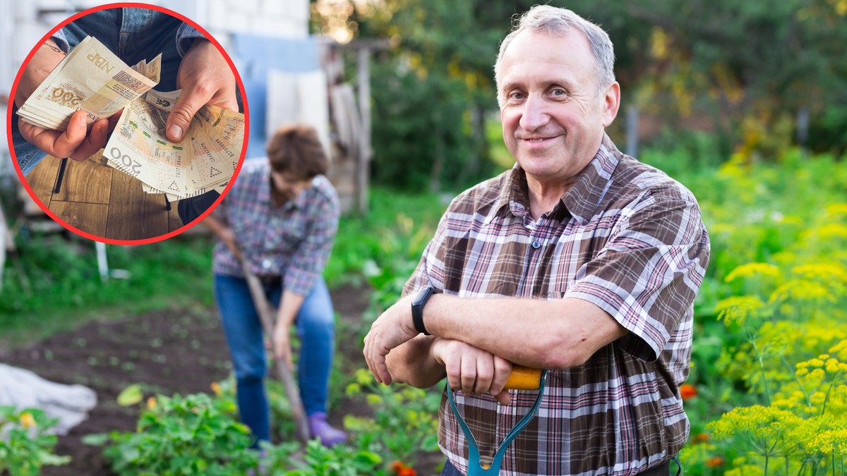 Rolnicy otrzymają 2400 zł za każdy hektar. Nowa dopłata ma zrekompensować utracone korzyści. Wnioski o wypłatę świadczenia już od 1 grudnia