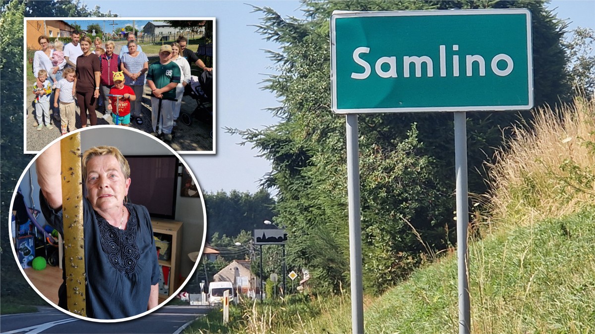 Prawdziwa plaga w Samlinie. "Lepy kupujemy całymi kartonami"