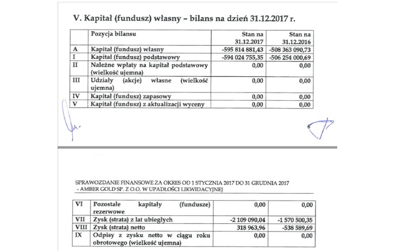 Sprawozdanie finansowe Amber Gold