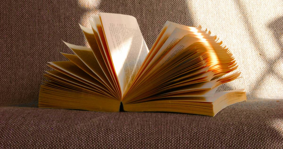 Jesteś chodzącą biblioteką? Sprawdź swoją wiedzę w quizie