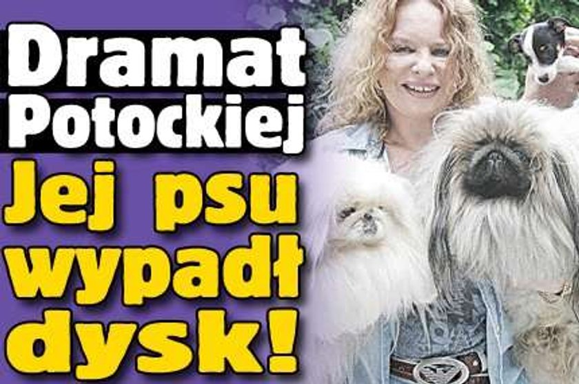 Dramat Potockiej. Jej psu wypadł dysk!