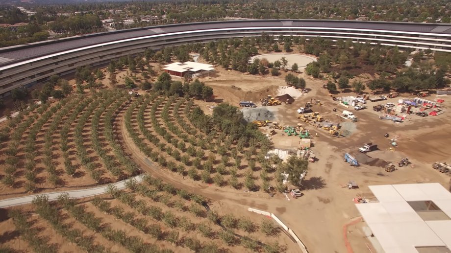 W środku pierścienia, jaki tworzy Apple Park, posadzono drzewa owocowe