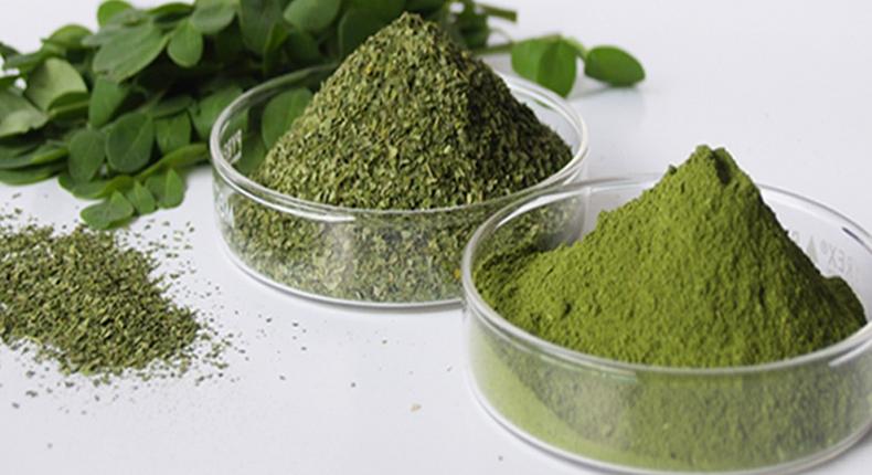 Moringa leaves and powder